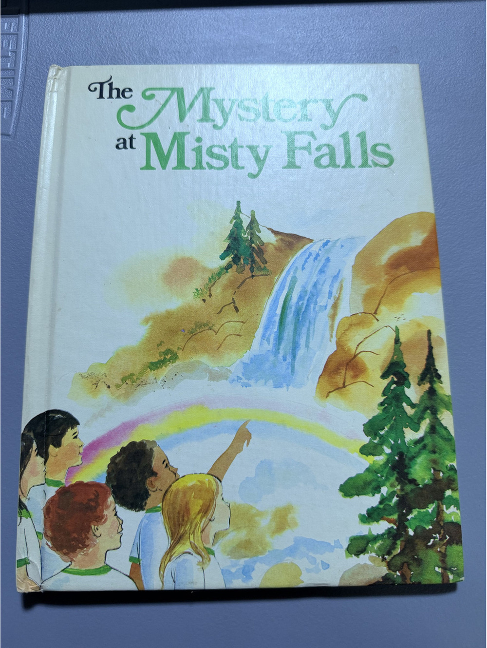 The Mystery at Misty Falls by Kal Gezi and Ann Bradford, Illustrated Edition